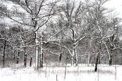 photo 0301